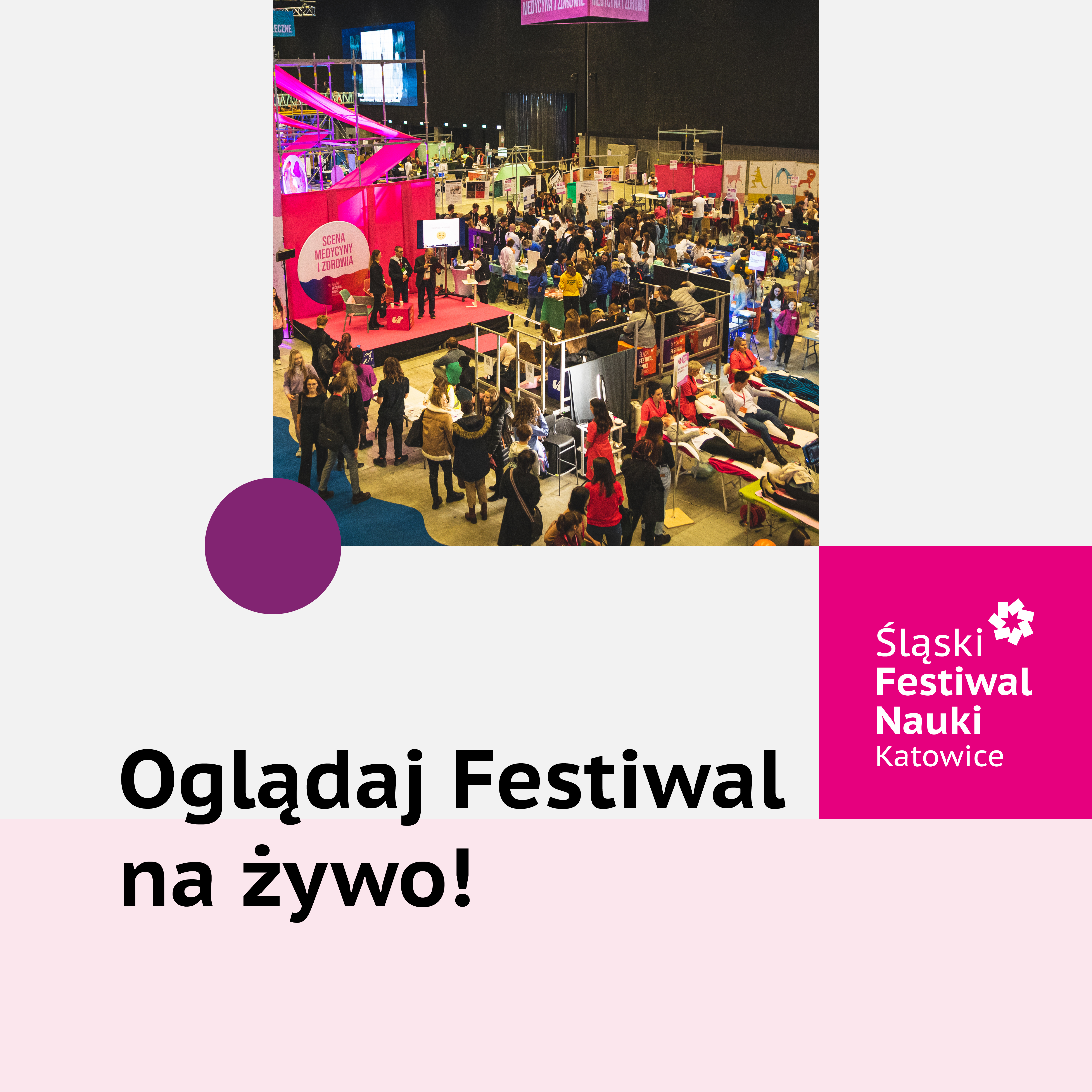 Grafika z napisem Oglądaj Festiwal na Żywo